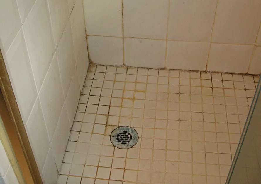 How to Clean Your Stone Shower Floor Like a Pro