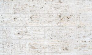 white travertine tile