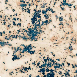 A macro close-up showing what etching on marble looks like? highlighting the textured mineral patterns and surface changes on a natural stone slab.