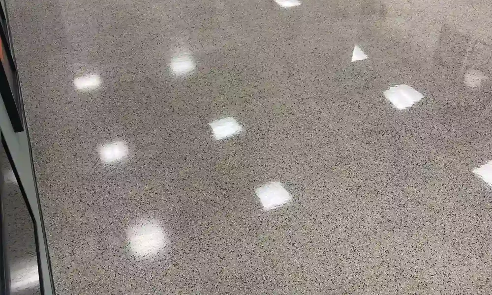 Terrazzo Floor Restoration